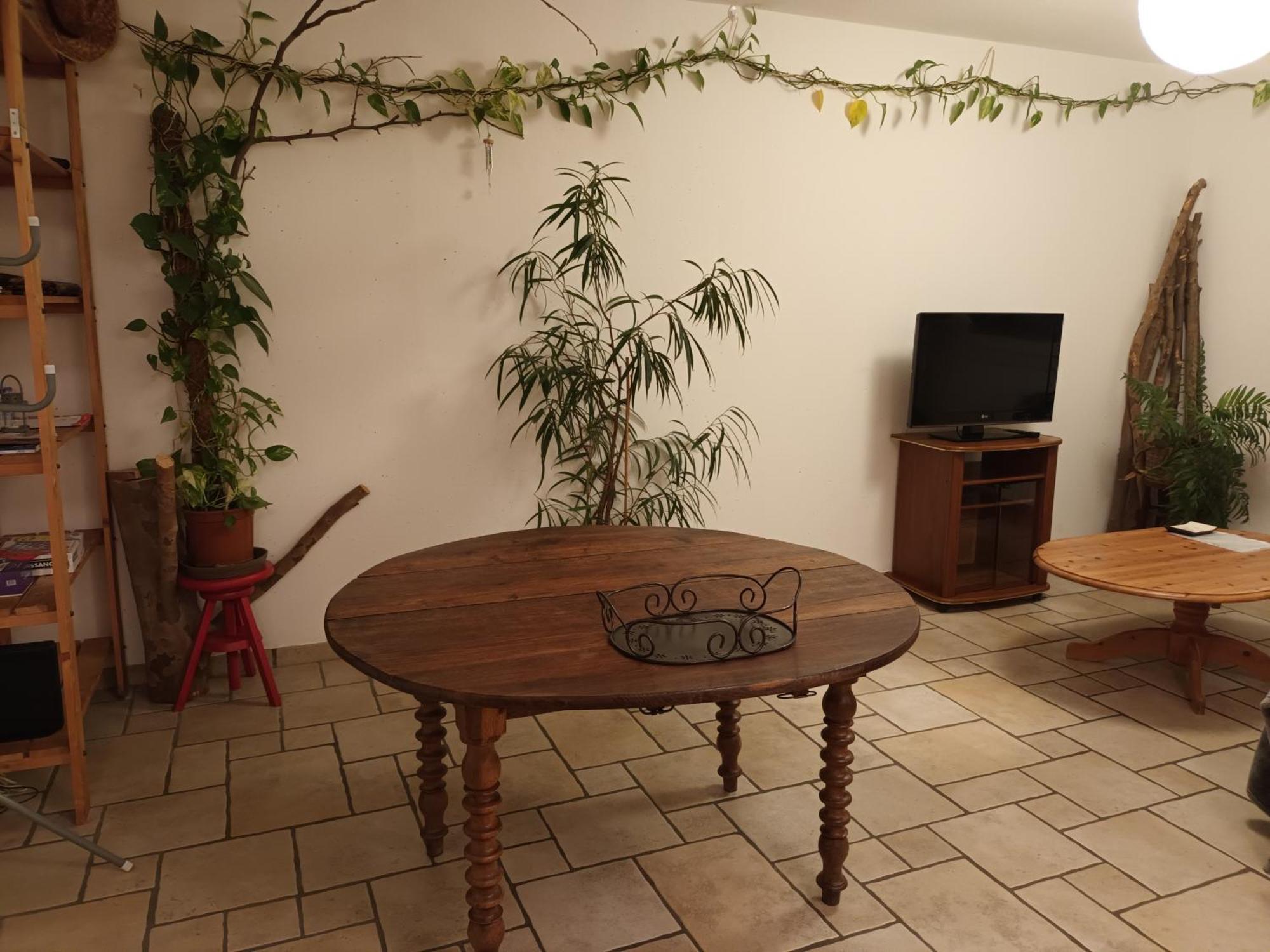 Tete D'or Forest Apartment